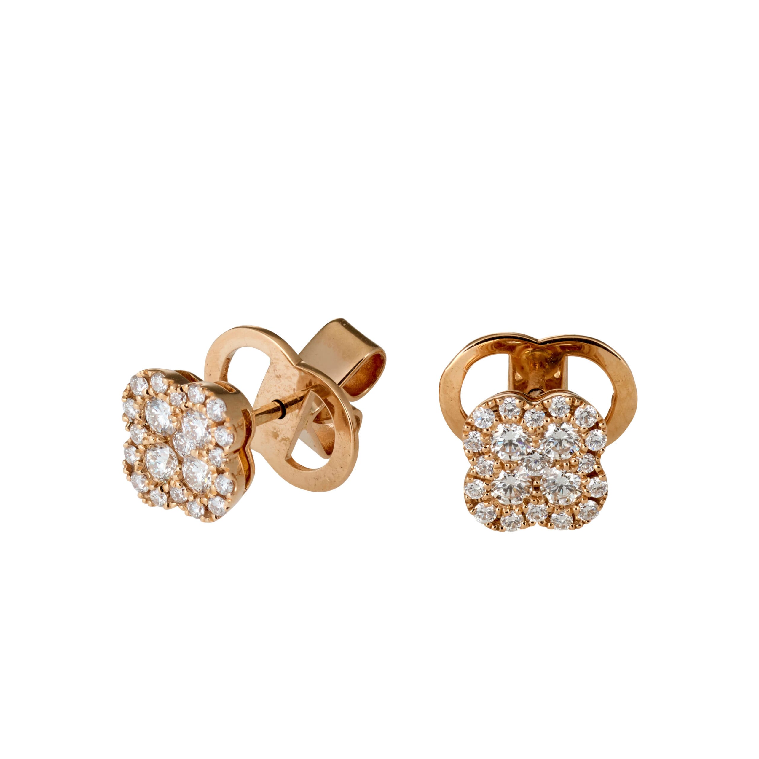 BLÜTE 5 BLÜTE – Bild 2